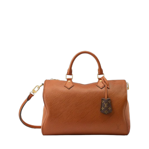 https://accessoiresmodes.com//storage/photos/360/LOUIS VUITTON/Speedy_soft_30_1.png